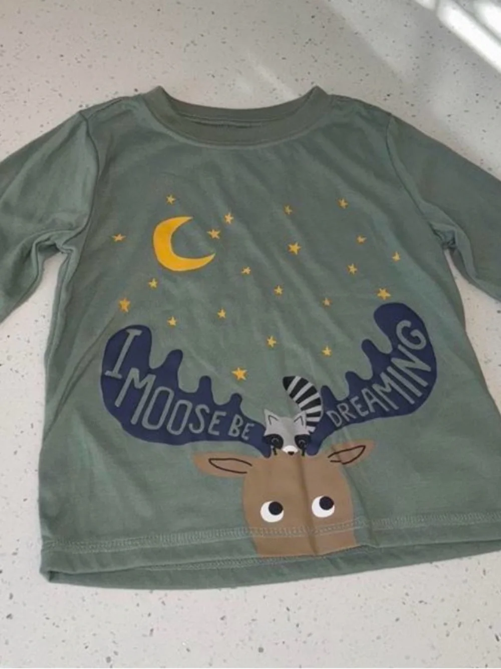 Kids Green Moose Dreaming Pajama Set